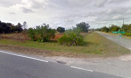 Body Found Along Rural Road in Kissimmee Near Boggy Creek Road