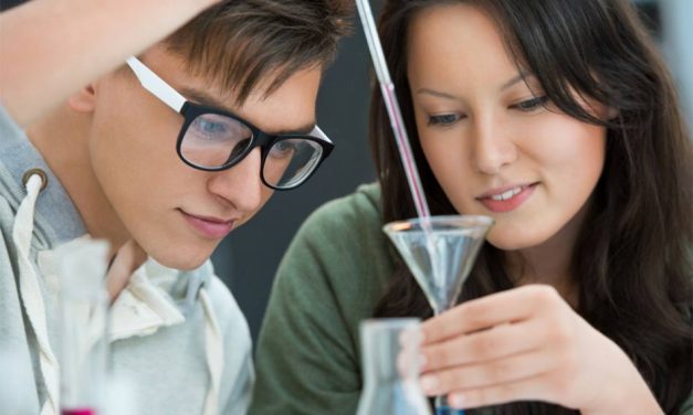 Osceola School District Partners with BRIDG