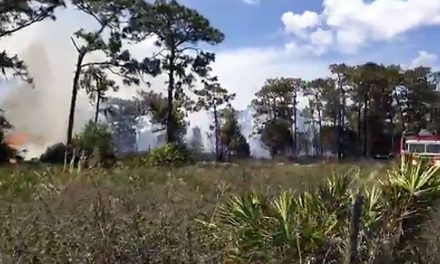 Drenching Rains Throughout Osceola County Bring an End to the Burn Ban