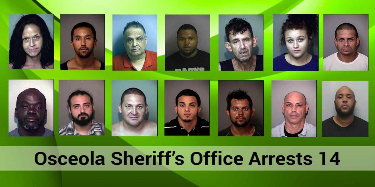 Osceola Sheriff’s Office Investigation Leads to 14 Arrests in Drug Bust