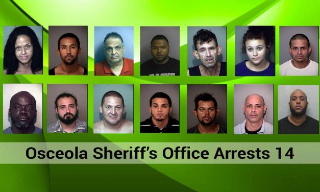 Osceola Sheriff’s Office Investigation Leads to 14 Arrests in Drug Bust