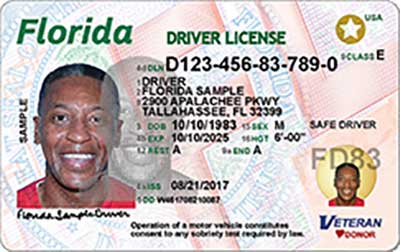 New Florida license look