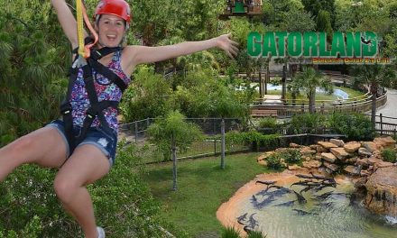 Gatorland Offers $20 Off Screamin’ Gator Zip Line