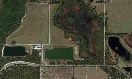 Free Hurricane Debris Drop-Off Site for Osceola County Residents