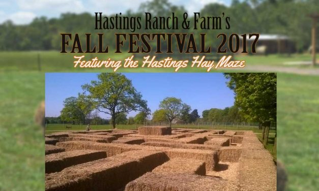 Hastings Ranch & Farm Fall Festival Announces Its Amazing Hay Maze