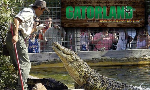 Gatorland Remains Open Until 5pm Today Prior To Arrival of Hurricane Irma