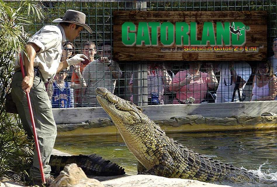 Gatorland Remains Open Until 5pm Today Prior To Arrival of Hurricane Irma