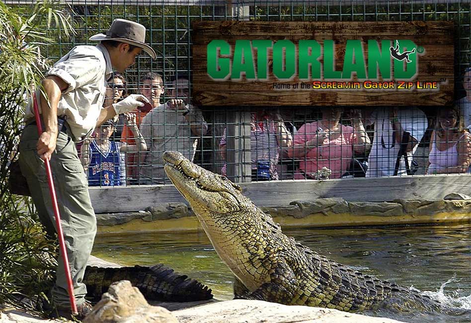 Gatorland Remains Open Until 5pm Today Prior To Arrival Of Hurricane Irma Gatorland Remains Open Until 5pm Today Prior To Arrival Of Hurricane Irma