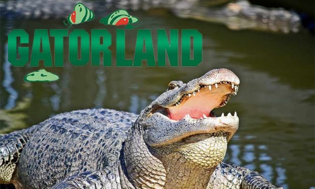 Gatorland Reopens Today, Sept. 13 After Hurricane Irma Brought Power Outages