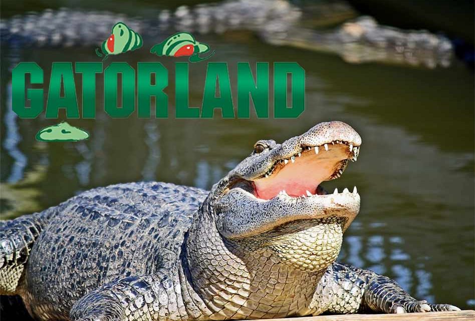 Gatorland Reopens Today, Sept. 13 After Hurricane Irma Brought Power Outages