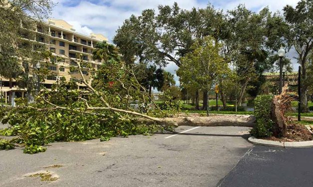 Osceola County Hurricane Irma Aftermath Information Update