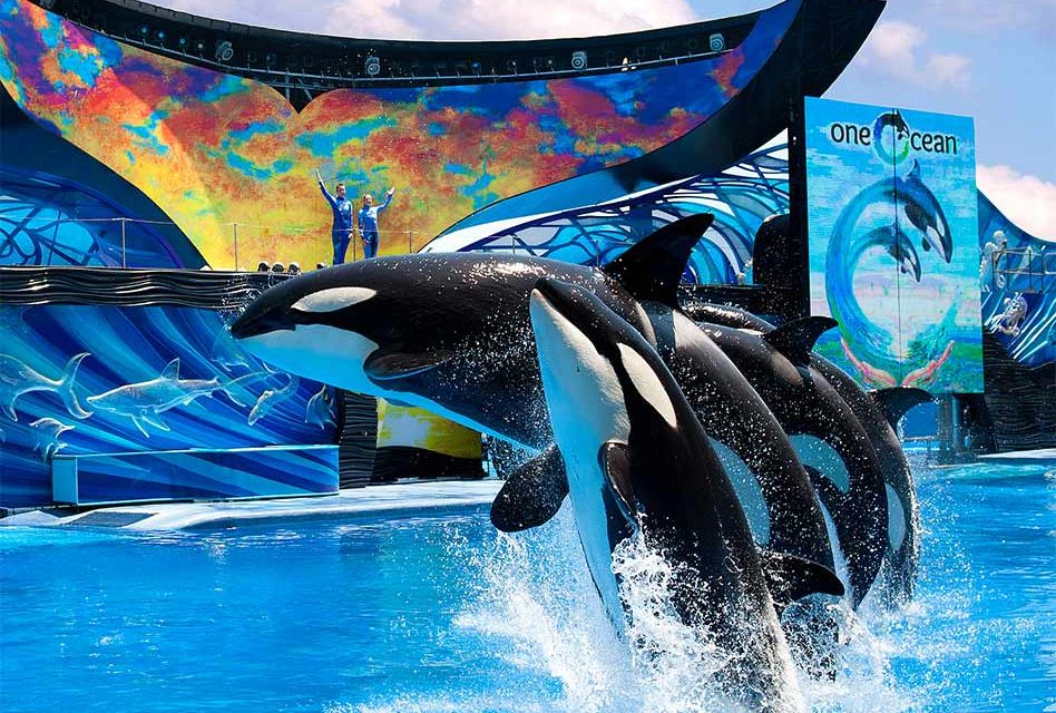 SeaWorld and Aquatica tickets at “Welcome Back” prices through June 21