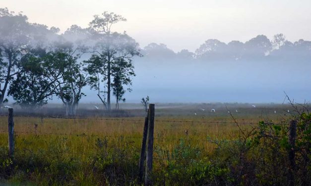 Osceola County Commissioners Look for Ways to Diversify Housing