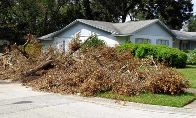 Osceola County Citizen Debris Drop-Off Sites to Close After Sunday