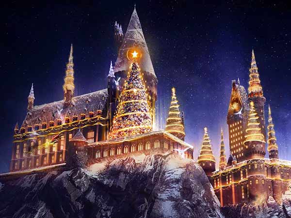 Harry Potter Wizarding World Christmas