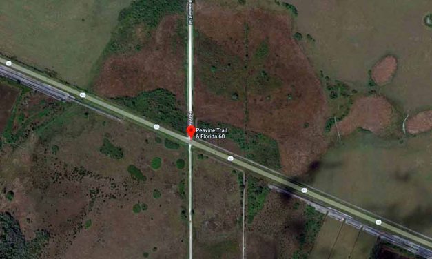 One Dead, Four Injured in Multi-car Crash in Osceola County