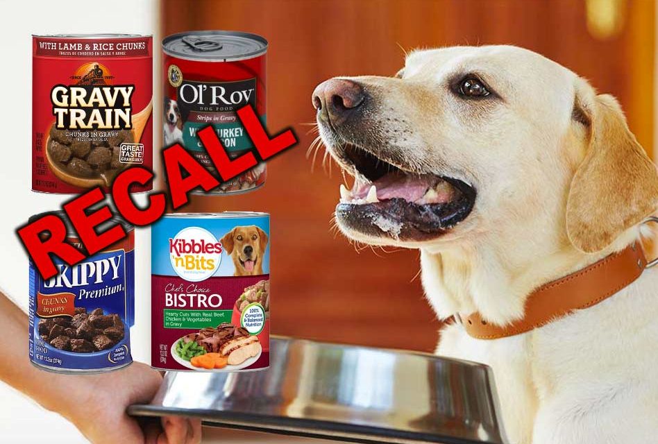 Dog Food Recalled Over Euthanasia Drug Concerns