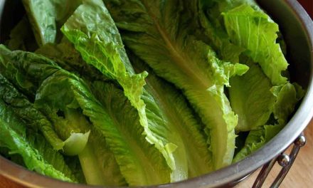 Do Not Eat Romaine Lettuce, CDC warns, as E. coli Outbreak Grows
