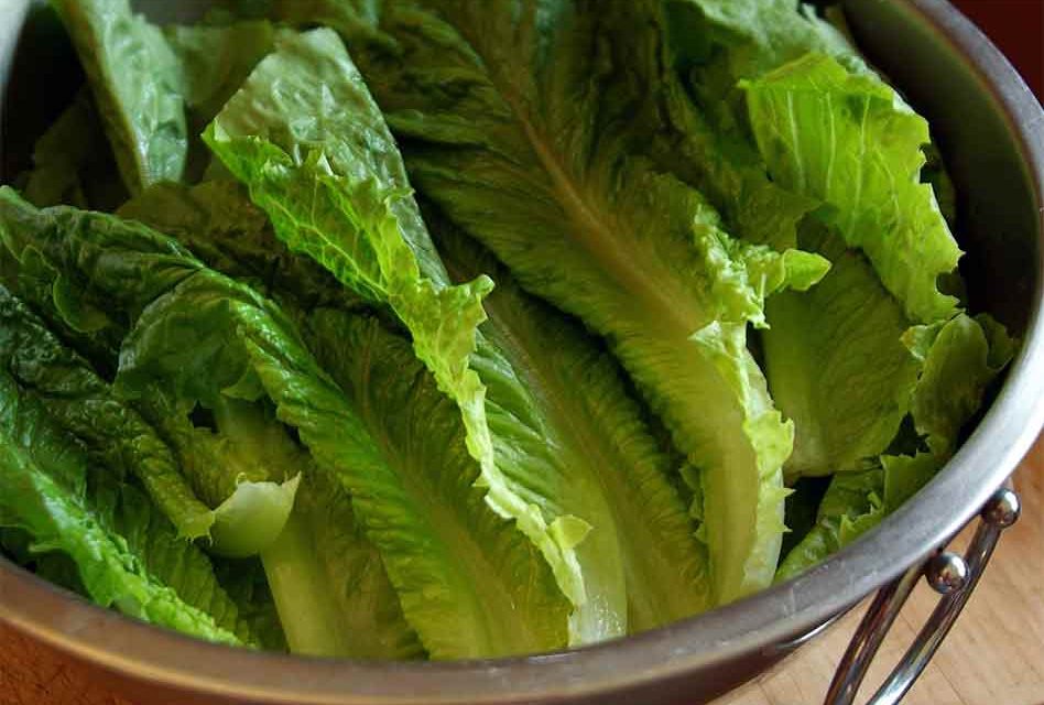 E. coli Outbreak Connected to Romaine Lettuce Kills 1 in California, Expands to 25 States