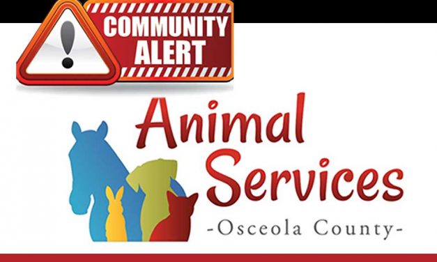 St. Cloud Dog Attack Causes Osceola County Animal Services To Seek Community’s Help