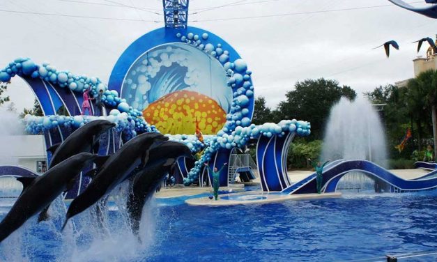 SeaWorld CEO: We are hoping to reopen in June