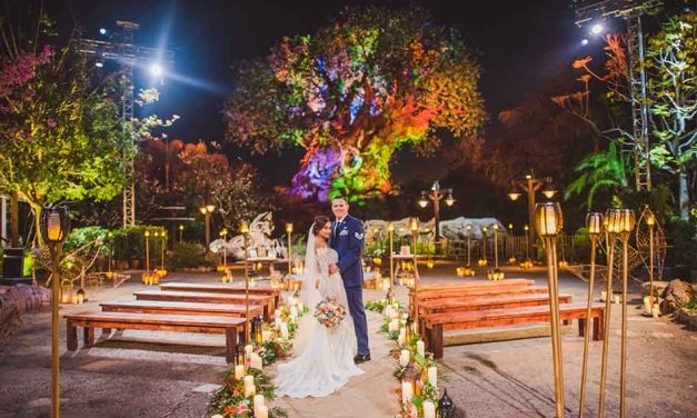 The Tree of Life at Disney’s Animal Kingdom is the Perfect Wedding Backdrop