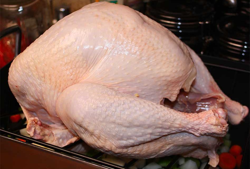 Food safety tips for cooking your Thanksgiving turkey