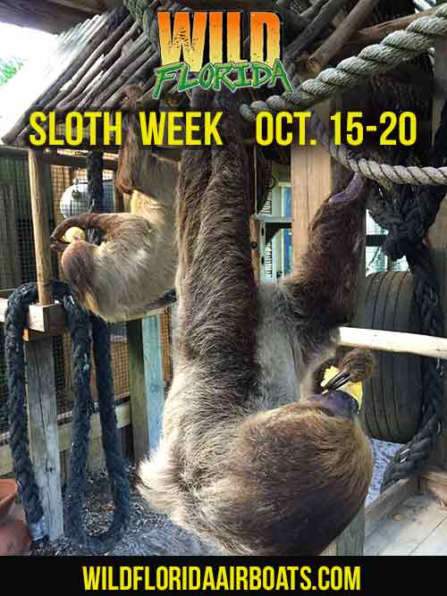 St. Cloud Utility Customers May Enter to Win an iPad Mini 2