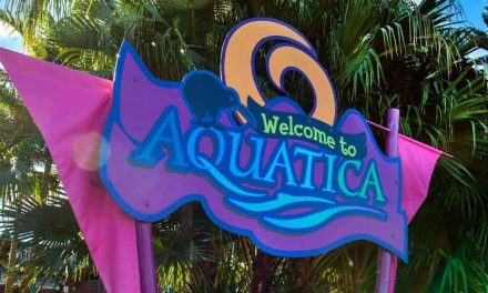 Seaworld’s Aquatica Becomes First Water Park to Be a Certified Autism Center