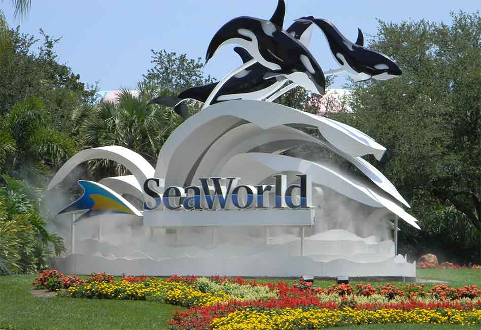 Seaworld Kayla 30-year-old Orca Kayla, Dies at SeaWorld Orlando