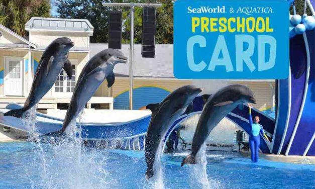 SeaWorld and Aquatica Offering Free admission for Children 5 years Old and Under