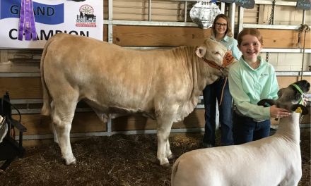 2019 Grand Champion Market Steer and Lamb Winners at KVLS