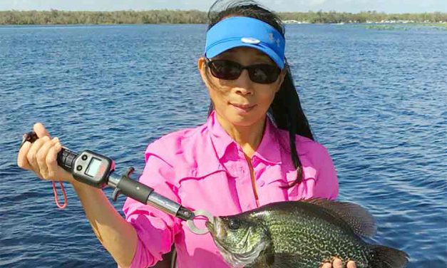 FWC Invites Public to Meeting About Black Crappie Management Plan in Kissimmee
