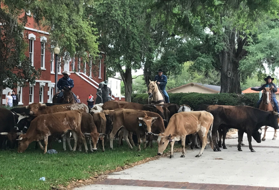Keeping the Tradition Alive During 5th Annual RAM National Circuit ...