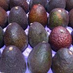 Henry Avocado Corporation Recalls Whole Avocados Due to Possible Listeria Contamination