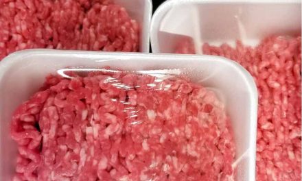 E. coli Outbreak From Tainted Ground Beef Expands to 10 States Including Florida