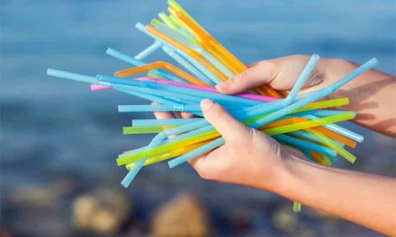 Walt Disney World Bans All Single-Use Plastic Straws at Its Locations
