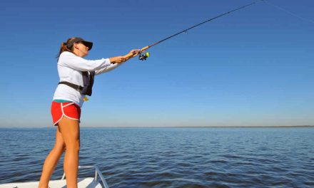 FWC Announces Two License-free Fishing Weekends in June