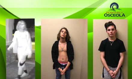 Osceola Deputies Arrest Two Juvenile Car Burglary Suspects in Harmony After Community’s Help