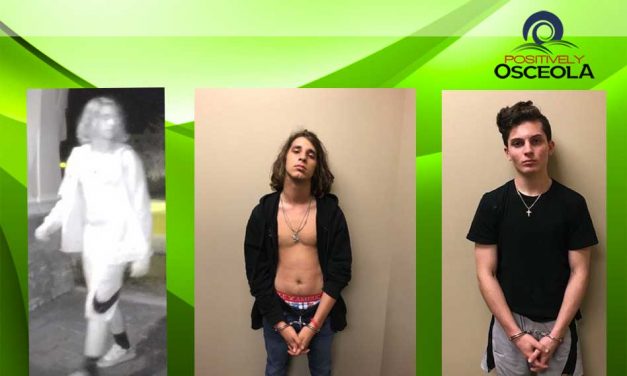 Osceola Deputies Arrest Two Juvenile Car Burglary Suspects in Harmony After Community’s Help