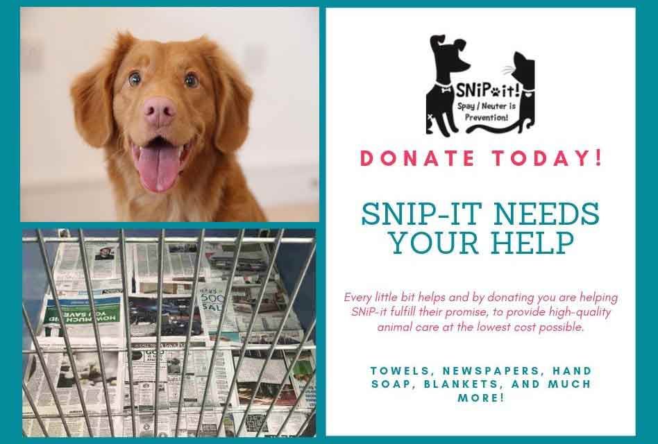 Help SNiP-it in Kissimmee Keep Spay and Neuter Costs Low By Donating