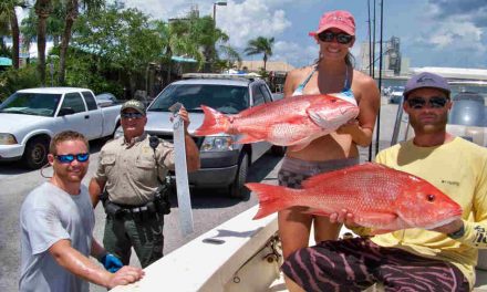 June 11th starts Recreational Red Snapper Season in Gulf state and federal waters