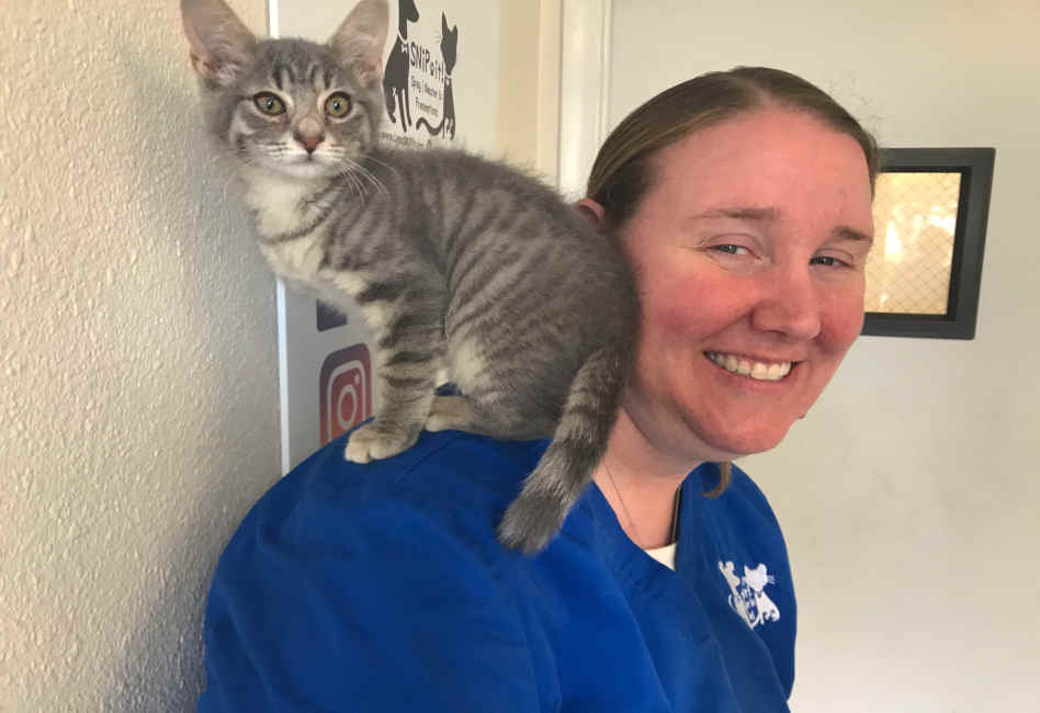 SNiPit Offers 25 Spay and Neuter Special Thanks to Funding from