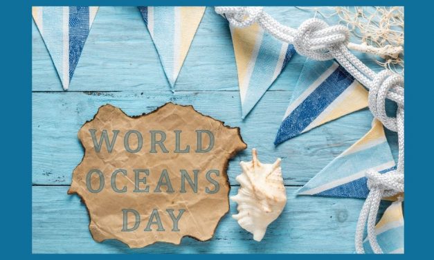 Help Protect, Celebrate, and Conserve The Ocean on World Oceans Day