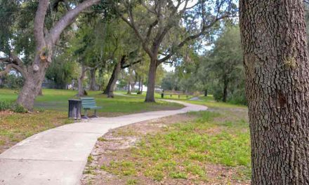Kissimmee Announces Temporary Closure of Mill Slough Park to Restore Natural Stormwater Functions