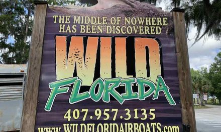 Have Some Wild Fun This Summer at Wild Florida!
