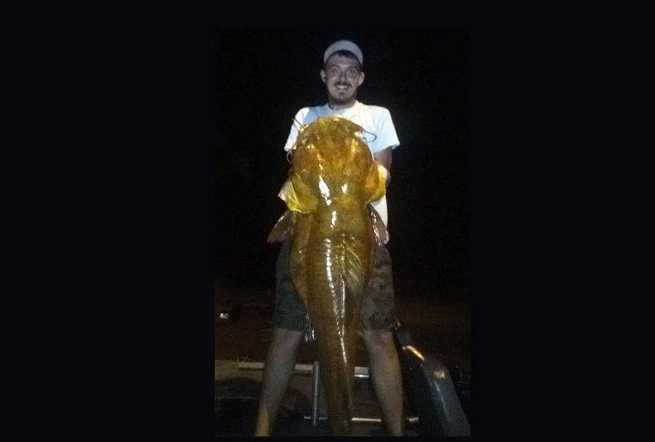New Record Flathead Catfish Caught in Florida Weighing in at 69.3 Pounds