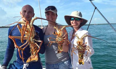 Spiny Lobster Season Starts Soon in Florida, Get Your Masks, Fins and Dive Flags Ready!