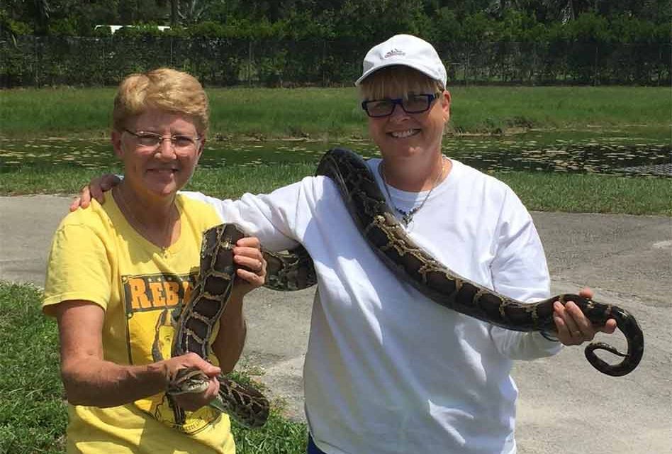 FWC Python Action Team Captures and Removes 500th Burmese Python