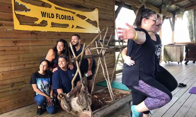 Wild Florida and “Guy the Sloth” Hold the “Slowest” Yoga Class Ever!